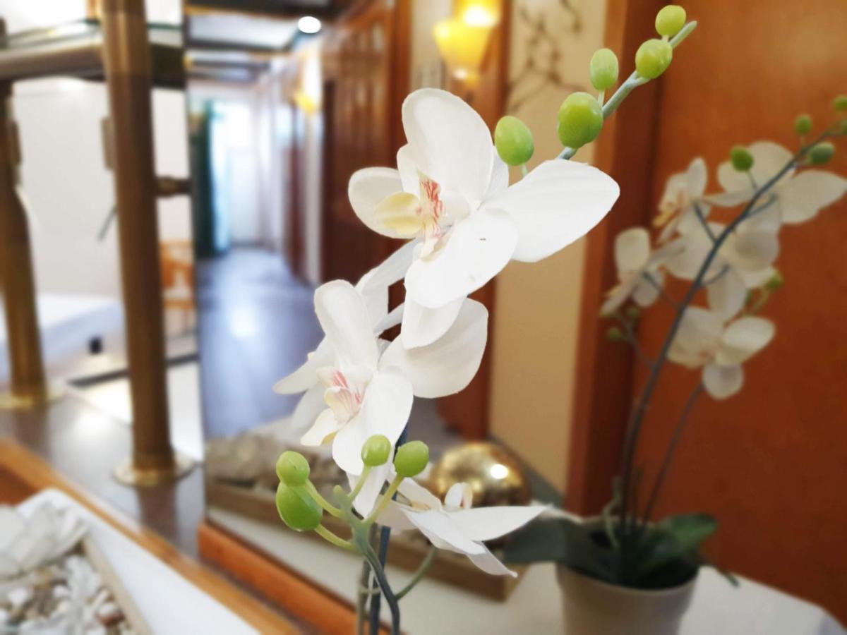 Hotel Am Kurpark 바트빔펜 외부 사진